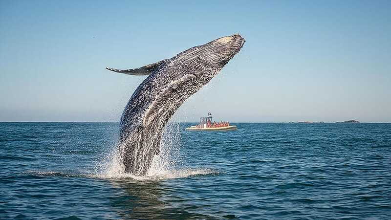 Tadoussac/Charlevoix: Whale Watching Zodiac Tour - The route you’ll cruise: Prince Shoal Light, Pointe-Noire, and the Caribou Falls area