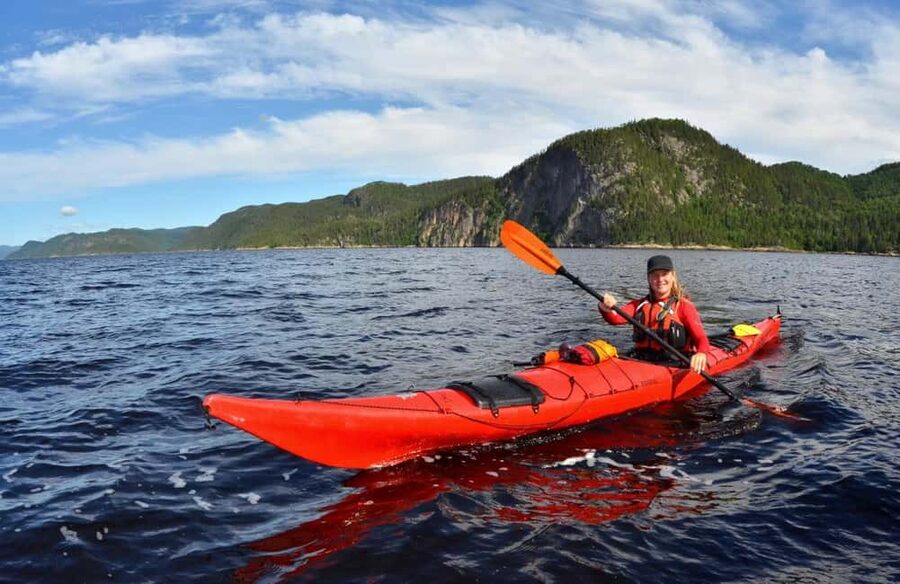 Tadoussac: Guided Sea Kayaking Adventure - Wildlife spotting from your kayak: seabirds, seals, and possible belugas
