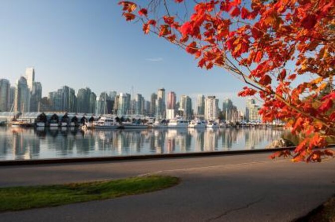 Talking Trees: Stanley Park Indigenous Walking Tour Led by a First Nations Guide - Why a Beaver Lake walk is the perfect intro to Coast Salish land knowledge