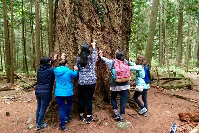 Talking Trees: Stanley Park Indigenous Walking Tour Led by a First Nations Guide - Real storytelling from First Nations cultural ambassadors
