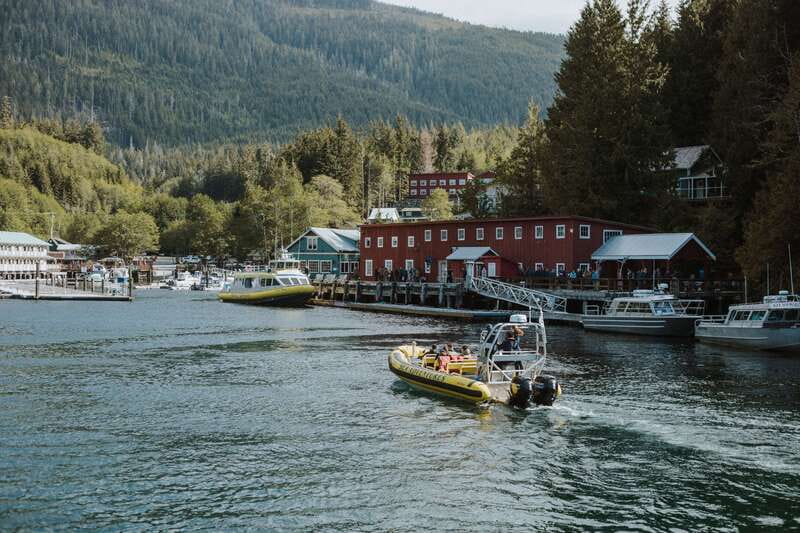 Telegraph Cove: 3-Hour Whale Watching Tour in a Zodiac Boat - Telegraph Cove by Zodiac: why this setup feels fast and personal