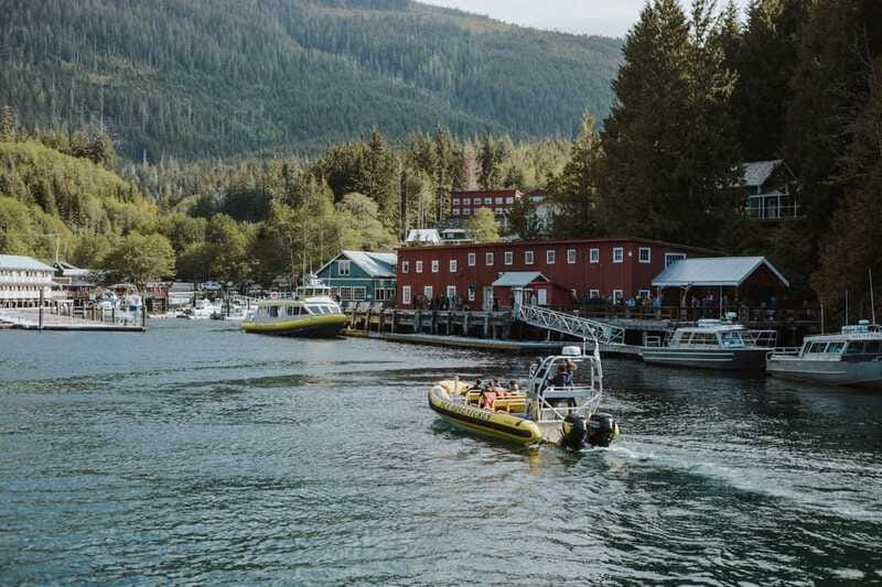 Telegraph Cove: 3-Hour Whale Watching Tour in a Zodiac Boat - Whale viewing etiquette: why you might feel far from the action