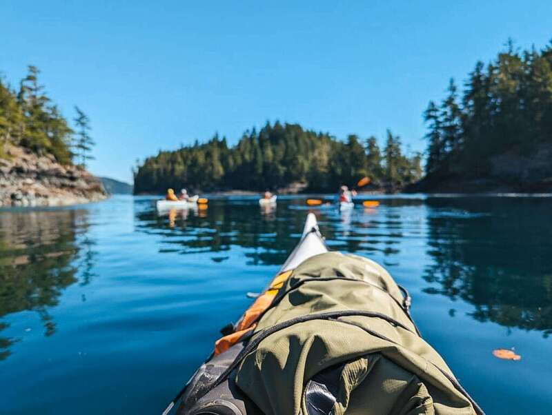 Telegraph Cove: Half-Day Kayaking Tour - Key points worth your attention