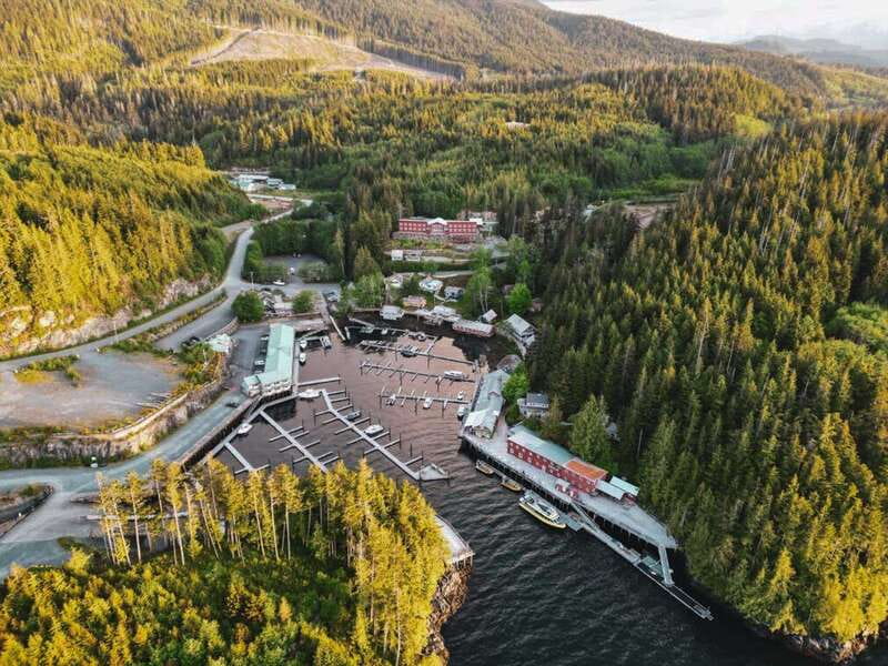 Telegraph Cove: Half-Day Kayaking Tour - Should You Book Telegraph Cove Half-Day Kayaking?