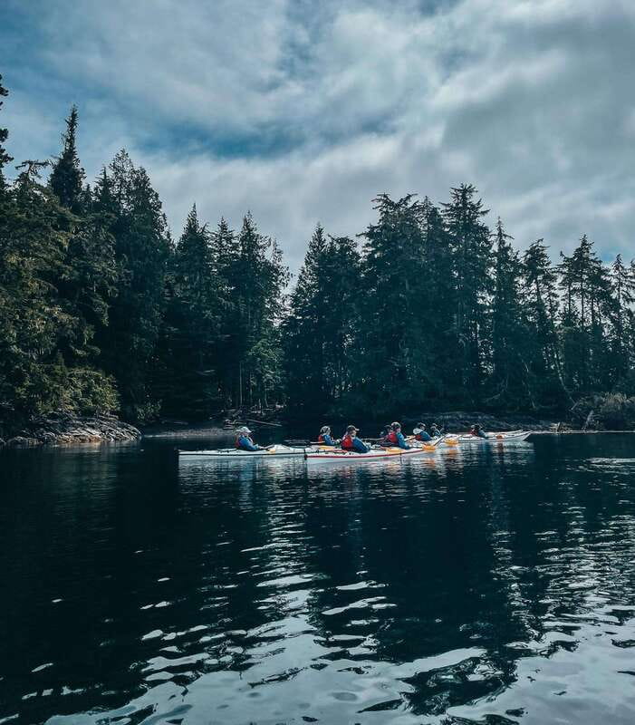 Telegraph Cove: Half-Day Kayaking Tour - Wildlife Chances That Feel Close, Not Forced