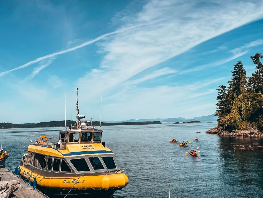 Telegraph Cove: Whale Watching Adventure with Free Photos - How the naturalists guide your whale search (Val, Scott, and the rest)