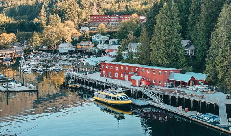 Telegraph Cove: Whale Watching Adventure with Free Photos - What to bring: your checklist for real whale-spotting comfort