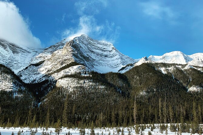 The BANFF NATURE Walk - 2hr Adventure - Photo Stops Around Johnston Lake: Scenery With a Purpose