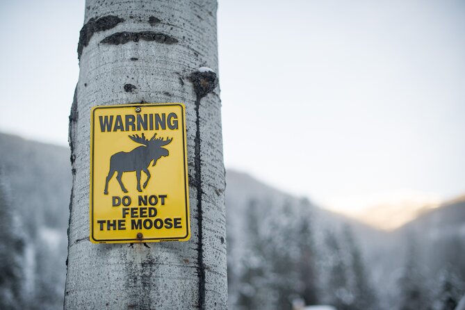 The BANFF NATURE Walk - 2hr Adventure - Wildlife Spotting Done the Right Way: Safer, Smarter, Less Guessing