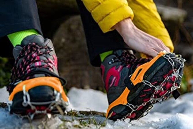 The BANFF NATURE Walk - 2hr Adventure - The 2-Hour Adventure Structure: What Happens During the Walk