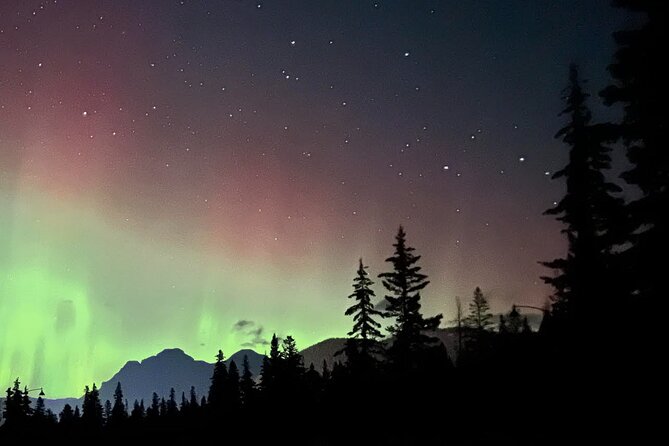 The Banff Stargazing Tour - 2hr Walking Tour - Who should book this Banff stargazing tour, and who should skip it