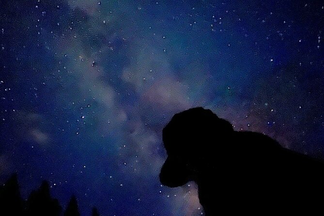 The Banff Stargazing Tour - 2hr Walking Tour - Price and value: what $68.34 gets you in the real world