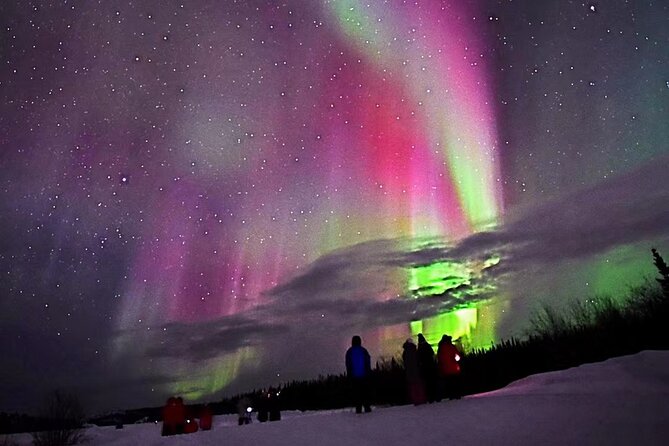 The Best Aurora Tour - Quick hits before you book