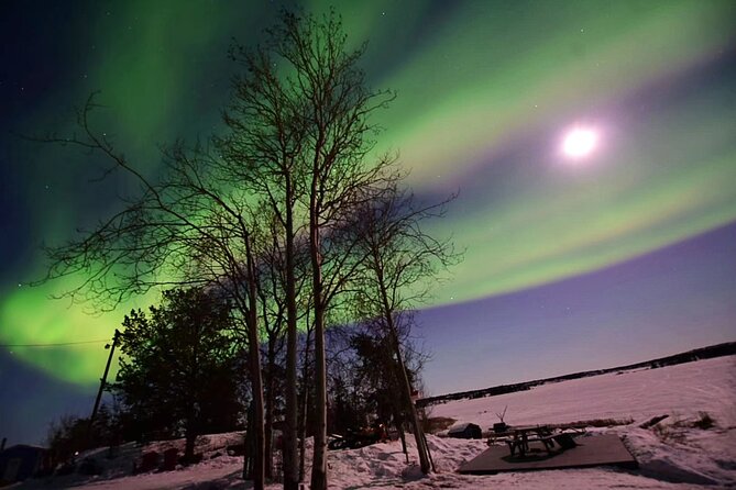 The Best Aurora Tour - When the guide chases: moving to new viewing locations