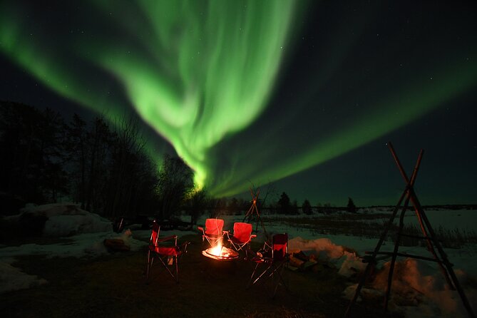 The Best Aurora Tour - Group size, language mix, and timing realities