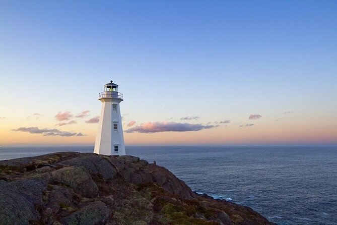 The Best of St. John's Private Walking Tour - Key Things to Know Before You Go
