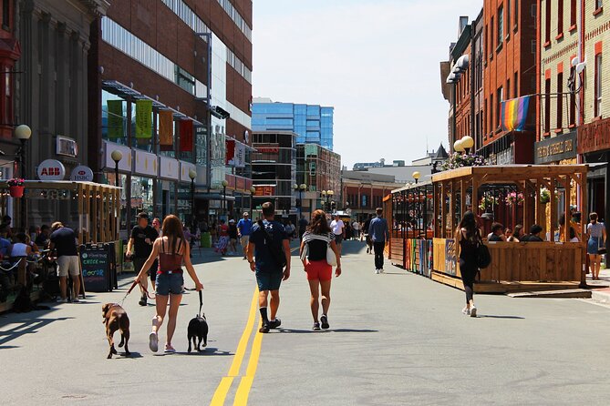 The Best of St. John's Private Walking Tour - Where It Starts, and How You’ll Move Through Downtown