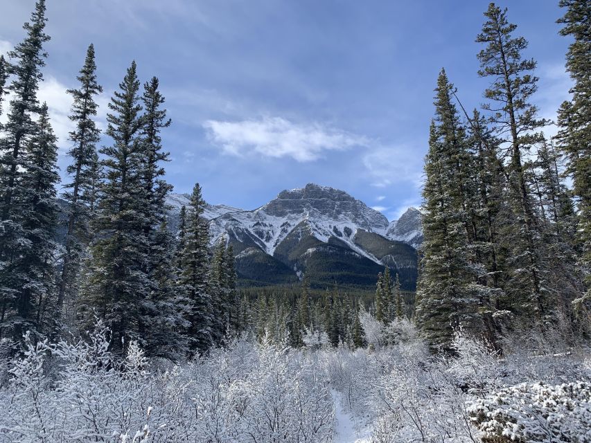 The Canmore HISTORY TOUR - Cowboys and Coal Miners 2H Walk - Should you book this Canmore HISTORY TOUR - Cowboys and Coal Miners?