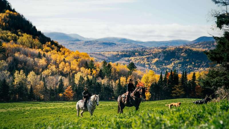 The Montagnarde: Guided horseback ride on mountain trails. - The 2.5-Hour Ride: From Saddle Up to Panoramic Vistas