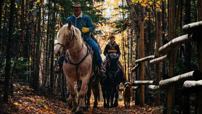 The Montagnarde: Guided horseback ride on mountain trails. - Price and Value: What $122 Gets You