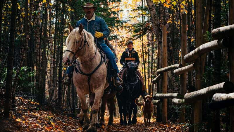 The Montagnarde: Guided horseback ride on mountain trails. - Reviews That Matter: Welcome, Views, and Docile Horses