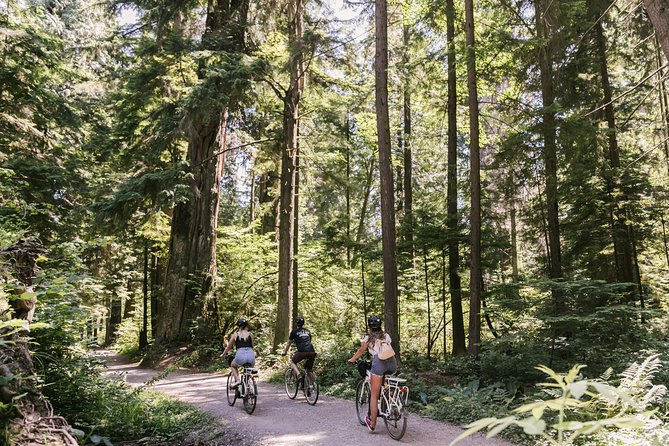 The Stanley Park Bicycle Tour by Cycle City Tours - Stanley Park by bike: why this 3-hour loop works