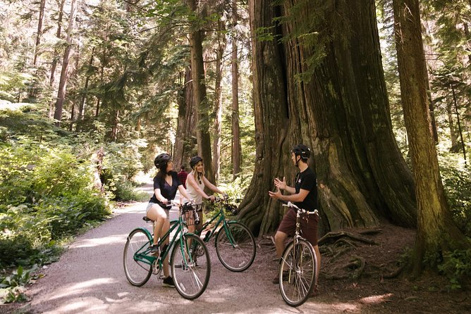 The Stanley Park Bicycle Tour by Cycle City Tours - Stops that matter: Seawall cruising, Brockton Point, and Third Beach