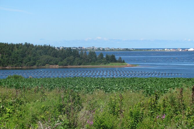 The Ultimate Anne of Green Gables Private Tour - Silver Bush, rolling roads, and why the drive is part of it