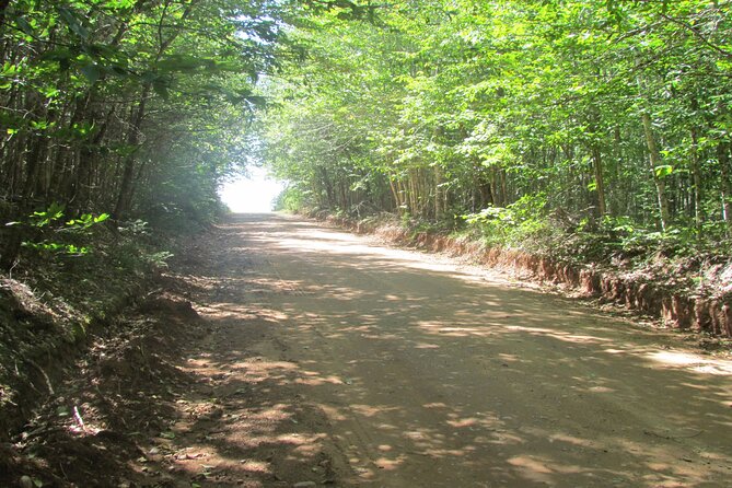The Ultimate Anne of Green Gables Private Tour - Green Gables Heritage site: the heart of the day