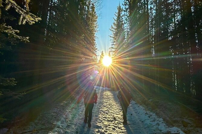 The Ultimate Calgary Experience: Music, Culture & Hidden Nature - Price and value for a small six-person group