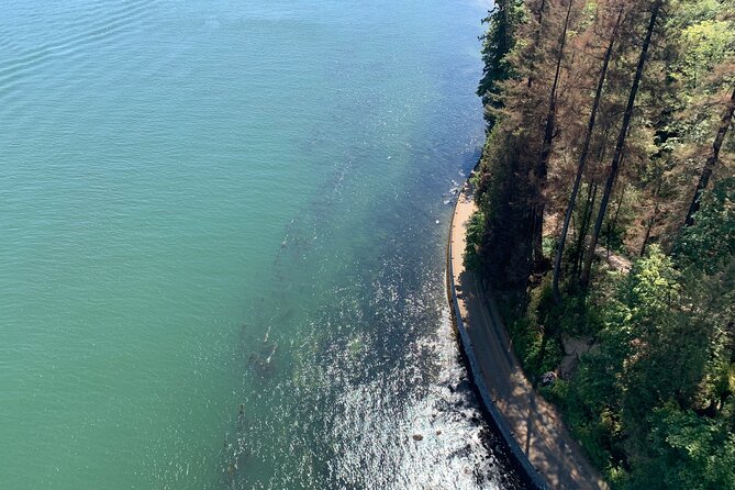 The Ultimate Stanley Park E-Bike Tour - Brockton Point Totem Pole: where the park turns instantly iconic