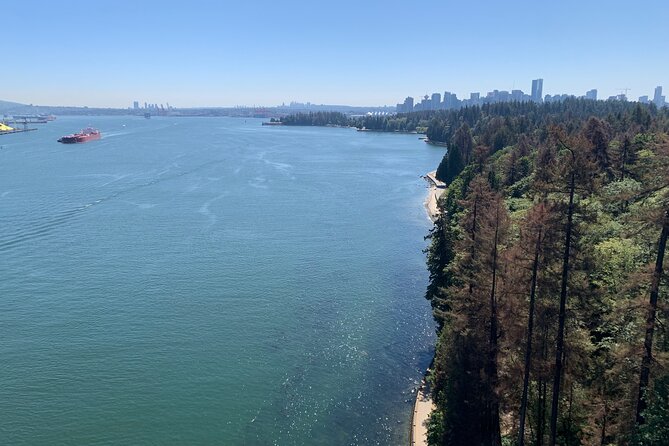 The Ultimate Stanley Park E-Bike Tour - Getting on the bike: helmets, handlebar bags, and first-timer confidence