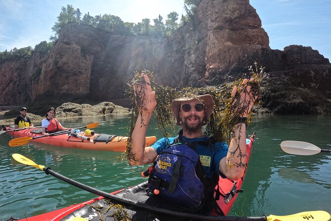 Three Sisters Sea Kayaking Day Tour - Lunch on the Water: A Picnic in a Real Cove