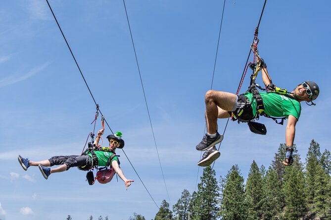 Thrilling 2-Hour Zipline Tour in Radium Hot Springs - Radium Hot Springs ziplining: the real vibe in 2 hours