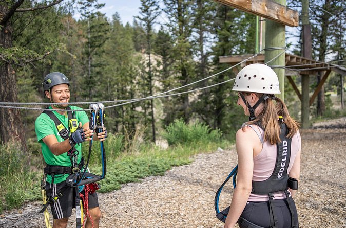 Thrilling 2-Hour Zipline Tour in Radium Hot Springs - Double-zip finale to up to 50 km/h: how the race ending works