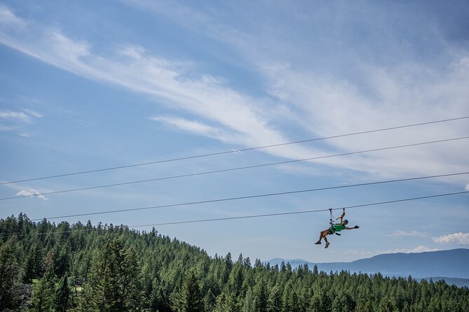 Thrilling 2-Hour Zipline Tour in Radium Hot Springs - Group size and guides: why a small max matters