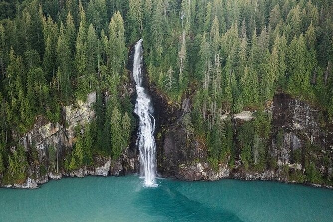 Toba Bears and Wilderness Grizzly Bear Viewing in Campbell River - Stop 2: Toba Inlet grizzly bear country with trained guides and viewing towers