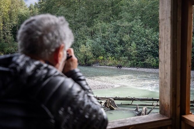 Toba Bears and Wilderness Grizzly Bear Viewing in Campbell River - Stop 3: Return to Campbell River with one last marine wildlife sweep