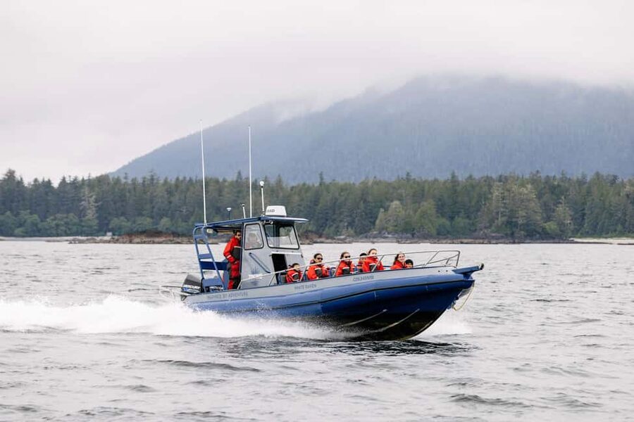 Tofino: Whale Watching Tour with Nature Guide - The 150-minute flow: safety briefing, prime viewing time, then back to land