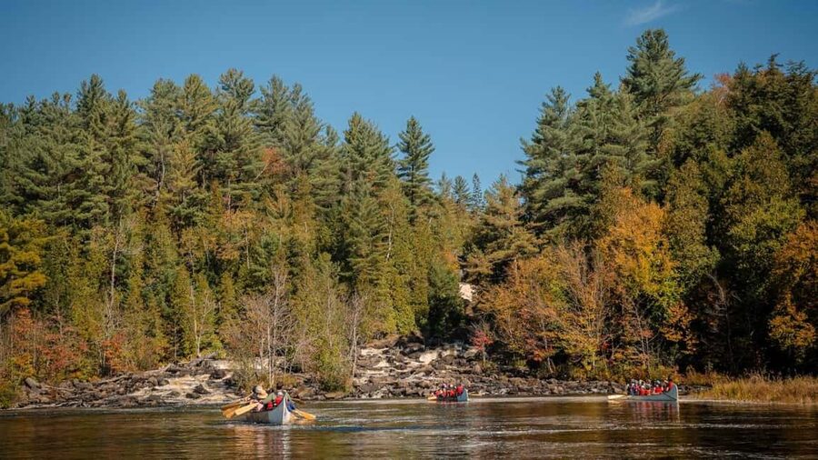 Toronto: Algonquin Park and Ragged Falls Day Trip - Key things to love about this Algonquin day
