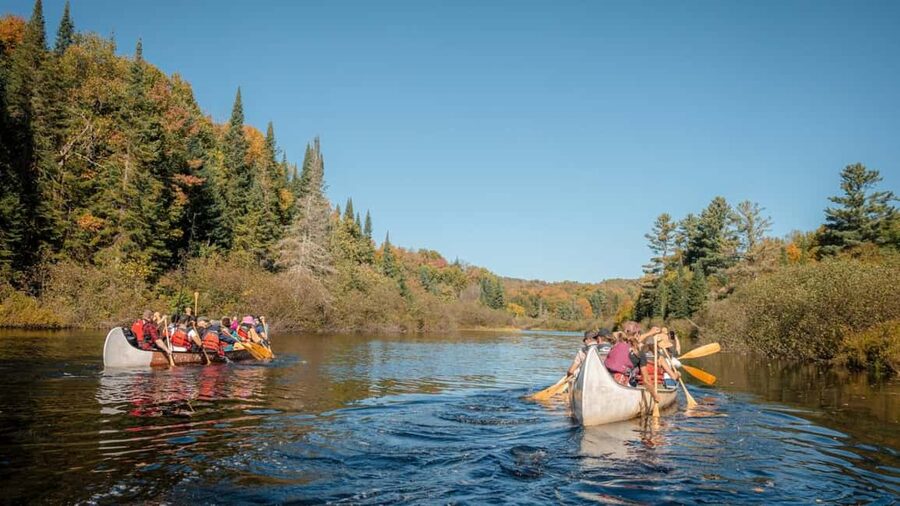 Toronto: Algonquin Park and Ragged Falls Day Trip - Huntsville break: reset time before Ragged Falls