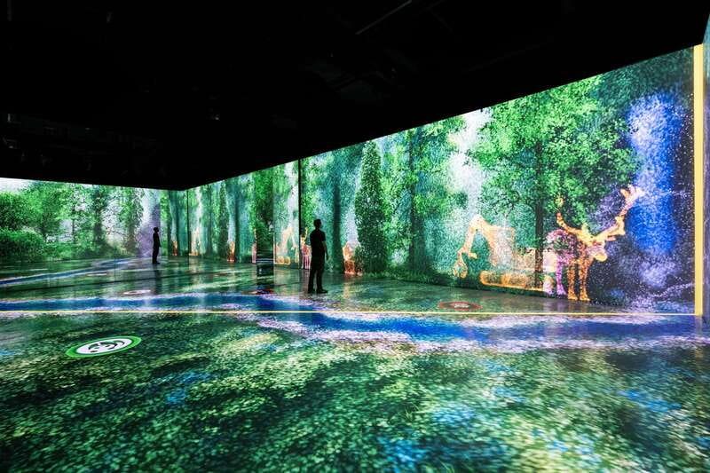 Toronto: Arcadia Earth, Immersive Experience Anytime Ticket - Your route inside: scan, explore, and connect the dots