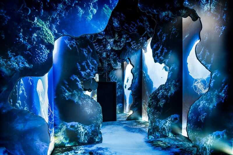 Toronto: Arcadia Earth, Immersive Experience Anytime Ticket - Should you book Arcadia Earth in Toronto?