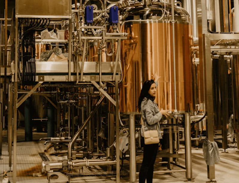 Toronto: Craft Brewery Tour - Who This Tour Is Best For