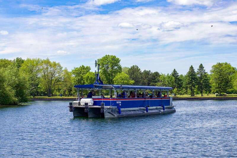 Toronto: Harbor and Islands Sightseeing Cruise - CN Tower, Rogers Centre, and Billy Bishop Airport: How to Get the Best Skyline Shots