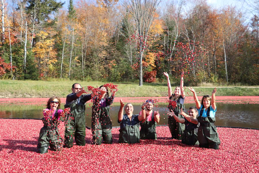 Toronto: Muskoka Cranberry Farm and Hardy Lake Hike - The 15-passenger custom transit experience