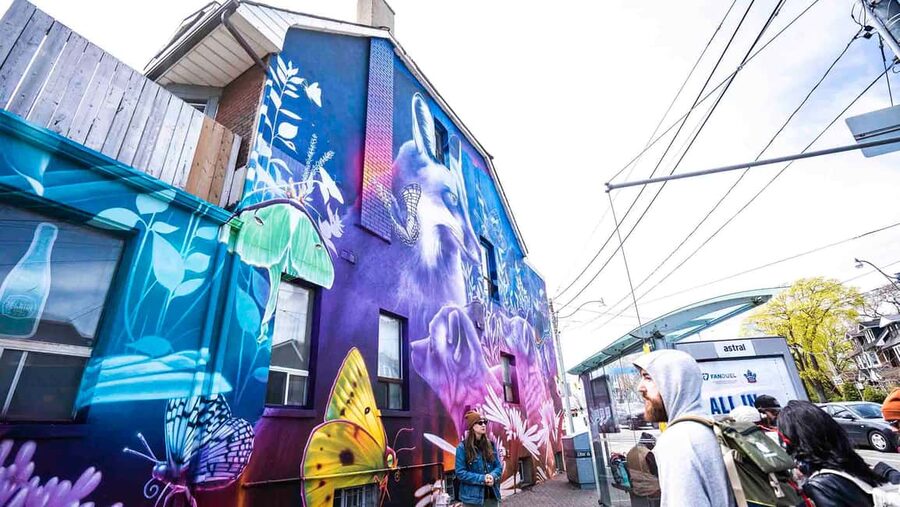 Toronto: Must Do NonTouristy Street Art Tour by local Artist - What to bring, what not to do, and how to stay comfortable