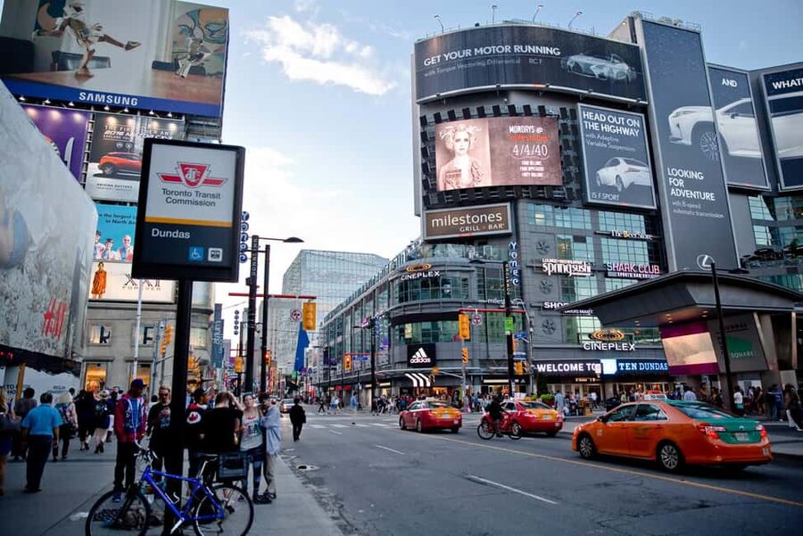 Toronto: Premium Driving Tour with Tower and Harbour Cruise - Tips to make your morning tour work even better for you