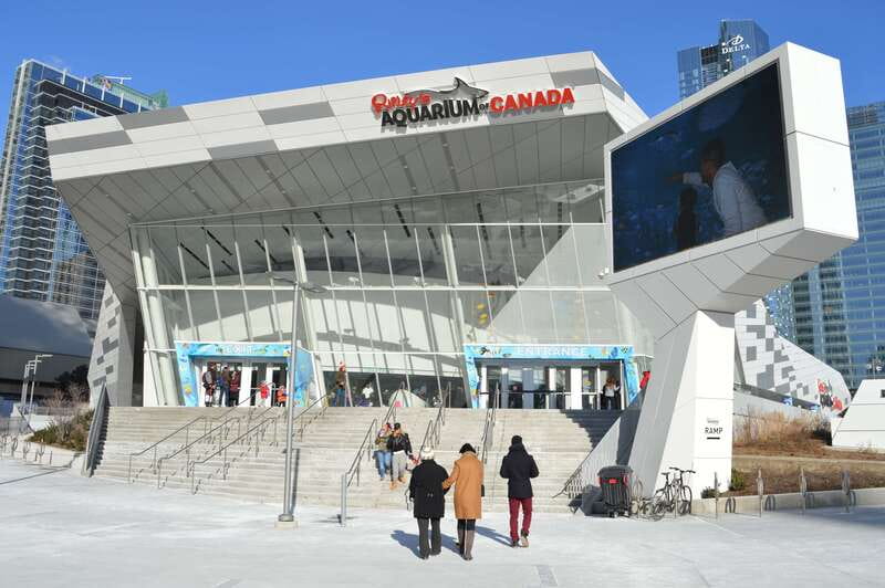 Toronto: Ripley's Aquarium of Canada Entry Ticket - Ripley’s Aquarium Near Union Station, a downtown aquarium you can actually fit in