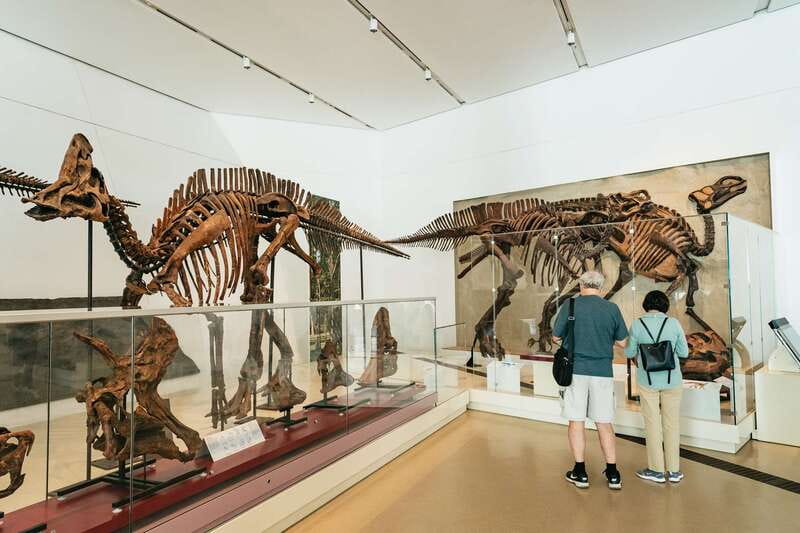 Toronto: Royal Ontario Museum Admission Ticket - The Ming Tomb Mound of General Zu Dashou: A Real Sense of Place